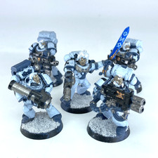 Space Wolves Long Fangs -