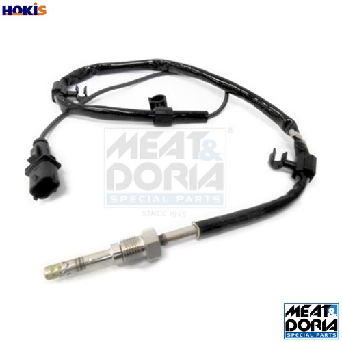 Sensor exhaust gas temperature - exhaust,