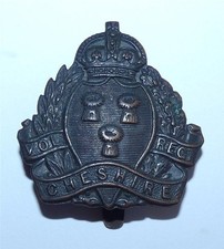 Original cheshire volunteer - original,