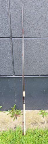 Harrison evolution carp - harrison,