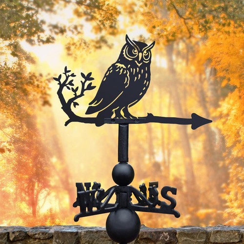 Cast iron steel great - &, horned