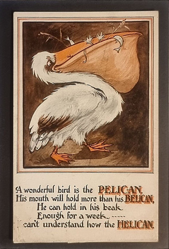 Comic postcard c1920 pelican - postcard,