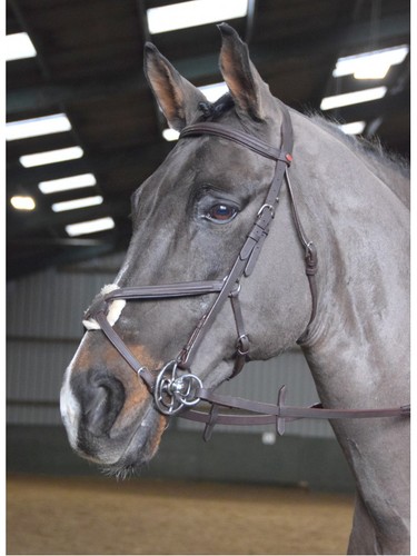 John whitaker ready - to, ride