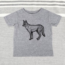 Coyote zoo animal - Baby