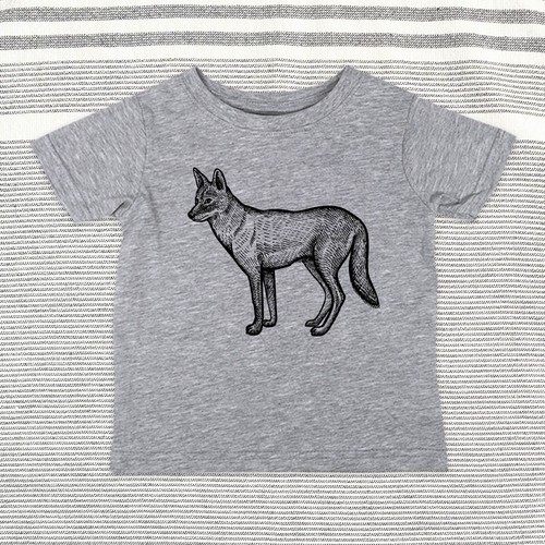 Coyote zoo animal baby - -,