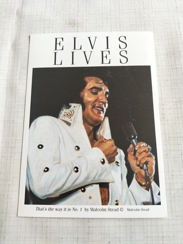 1996 elvis lives - stockport, art