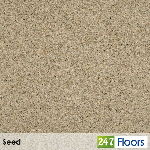 Seed natural berber - seed,