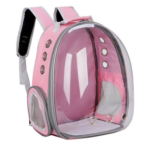 Astronaut window dog cat - window,