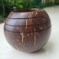 (Set of 2) 10cm Round Plant