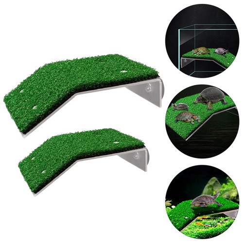 Pack large turtle basking - pack,