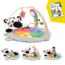 Baby Einstein Zen's Activity