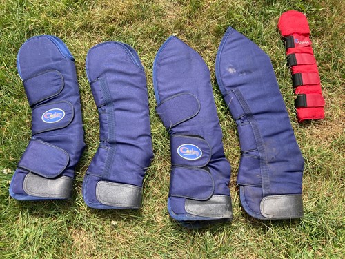 Horse blue travel boots - , and