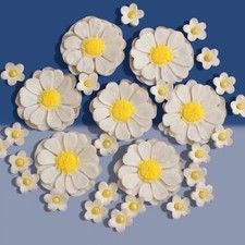 30 Edible White Fondant