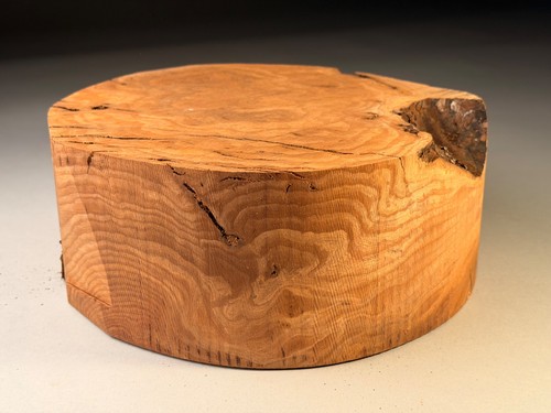 Very large interesting - large, burr