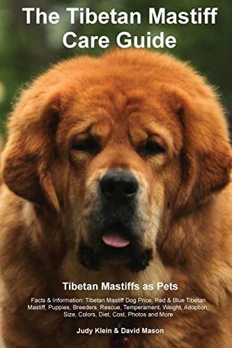 The tibetan mastiff care - the,