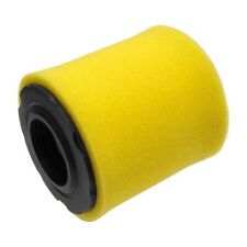 591583 For Briggs & Stratton