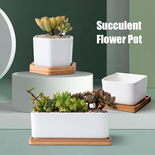 Mini ceramic pot for - ceramic,