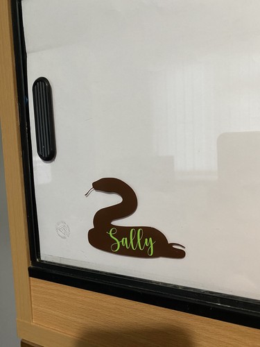 Personalised snake vivarium - personalised,