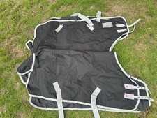 Shires Tempest 4’ No Fill