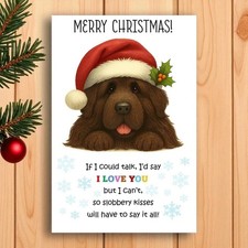 Newfoundland Christmas Card