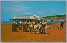 WESTON-SUPER-MARE Donkeys on