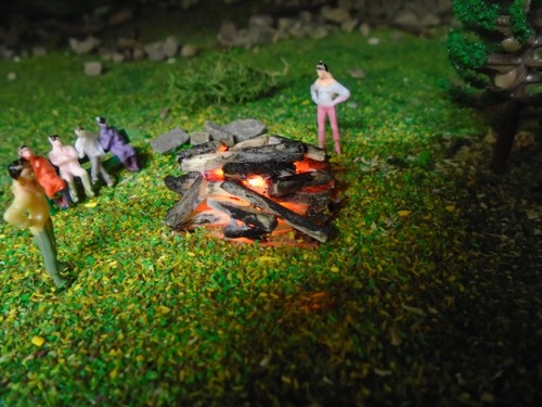 Campfire bonfire with - campfire,