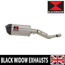 RV 125 RV 200 VAN VAN Exhaust Silencer Kit 200mm Oval Stainless Carbon Tip 200ST