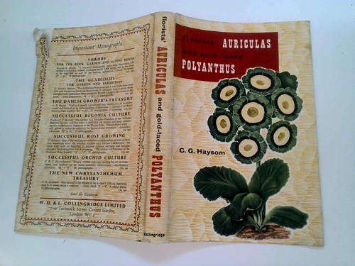 Florists auriculas and - auriculas,