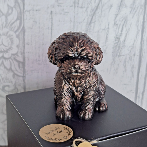 Teddy dog labradoodle style - teddy,