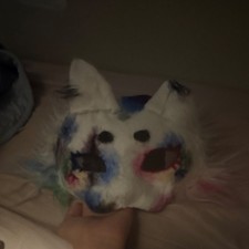 Hurt Multicolor Animal cat