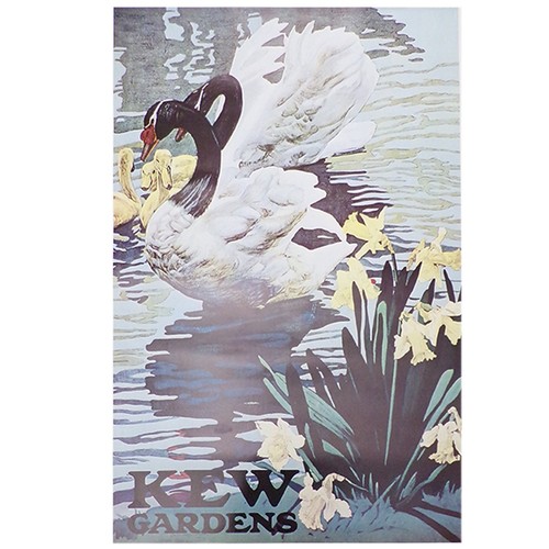Kew gardens poster - poster, london