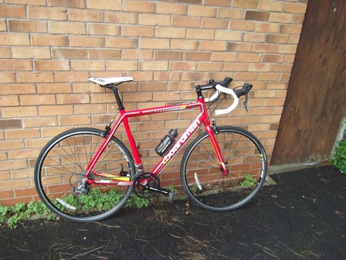 Boardman sport medium large - boardman,