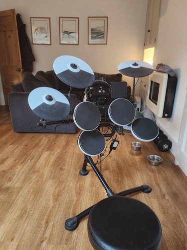 Roland 1kv electric - roland,