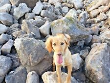 Reclaimed sandstone rockery water feature stone henge obelisk MASSIVE CHOICE!!
