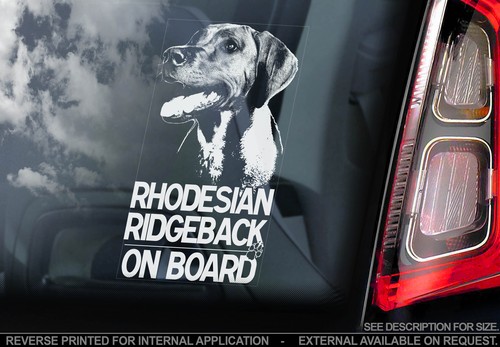 Rhodesian ridgeback car - -,