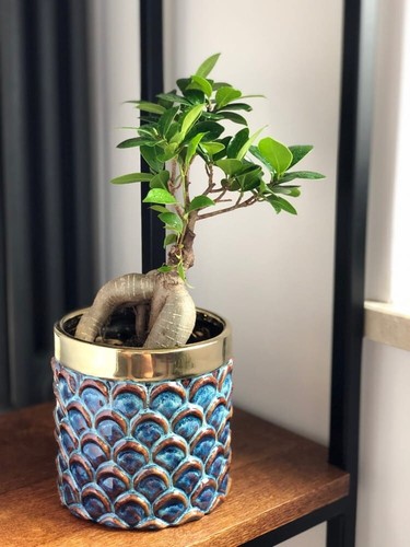 Large cylinder flowerpot home - flowerpot,