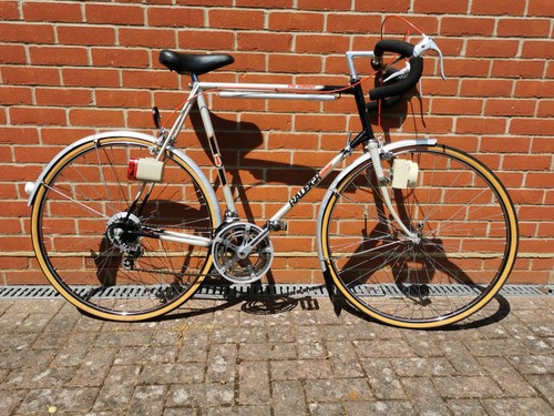 Raleigh winner light - , weight