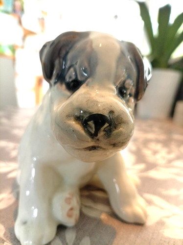 Rare ussr konakovo zik dog - rare,