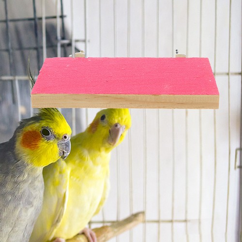 Durable wooden bird perch - wooden,