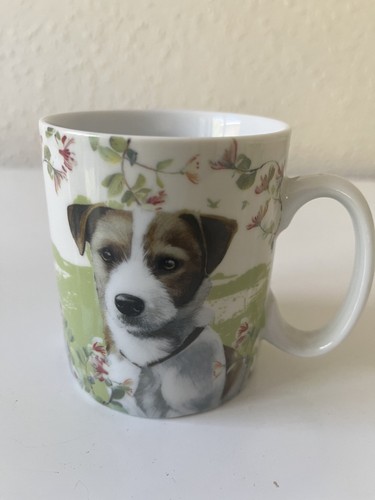Jack russell puppy chunky - russell, 'chunky'