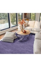 FVVRAX Area Rugs Living Room Rug, Soft Fluffy Shaggy Bedroom Rug Floor Carpet wi