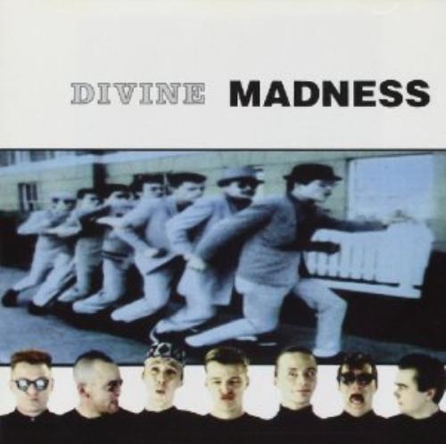 Divine madness value - divine,