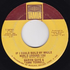 Motown--Marvin Gaye & Tammi