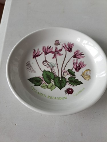 Portmeirion sweet dish - dish,