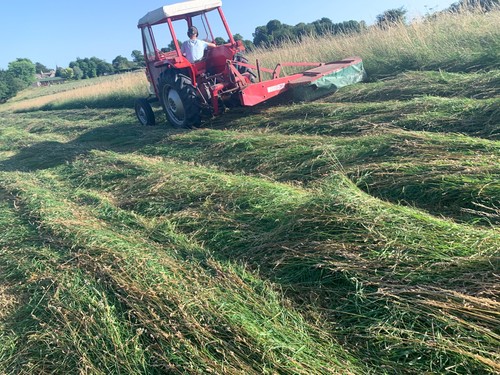 Small hay bales - small,