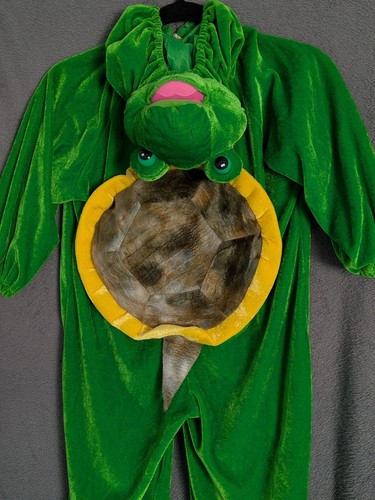 Kids turtle dress outfit - turtle,