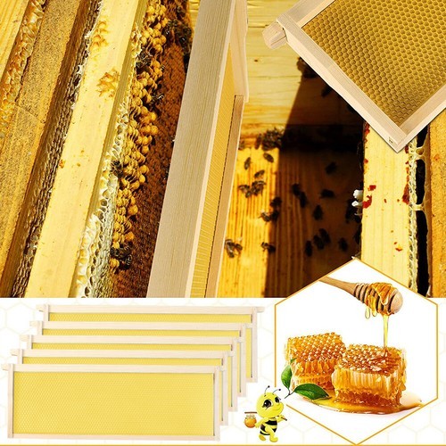 10x assembled honeycomb - 10x,