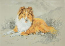 Rough Collie Print, Rough Collie Picture Limited Edition Rough Collie Print DT23