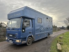 Iveco Horse Box