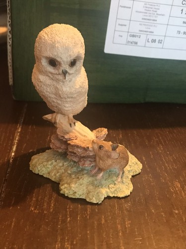 Border fine arts - border, owlet